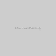 Image of Influenza A NP Antibody